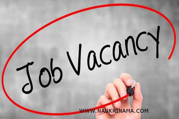 जॉब डाइजेस्ट 5 March 2019- भारतीय स्नातक पास युवाओं के पास मौका सरकारी नौकरी पाने का, जल्द करें आवेदन