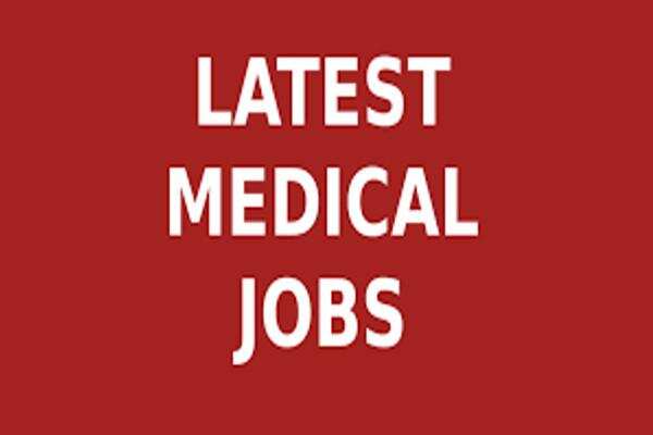 युवाओं के लिए बड़ी संख्या मे निकली सरकारी नौकरी, बिना समय गवाए आज ही करें आवेदन