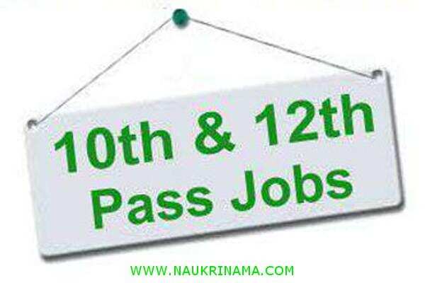 जॉब डाइजेस्ट 03 September 2019- अगर आज नहीं करें आवेदन तो मौका हाथ से निकल जाएगा सरकारी नौकरी पाने का, अभी करें आवेदन