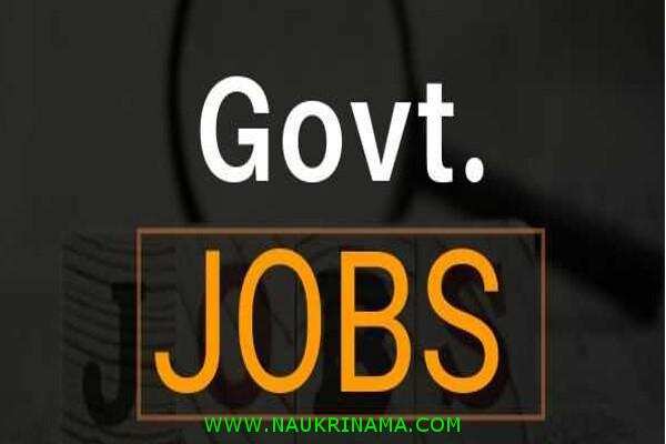 जॉब डाइजेस्ट 20 November 2019-  विभिन्न सरकारी विभागों में हजारों रिक्त पदों पर नौकरियां, जल्द करें आवेदन