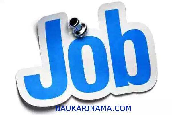 जॉब डाइजेस्ट 18 March 2019 – जूनियर इंजीनियर,संविदा ग्रामसेवक,फार्मेसिस्ट, तकनीशियन,हेल्थ वर्कर के 13000 पदों पर भर्ती का सुनहरा अवसर,10वीं से डिप्लोमा पास जल्द करें अप्लाई