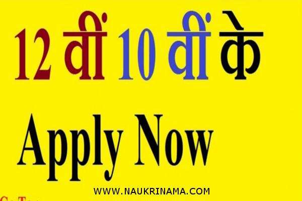जॉब डाइजेस्ट 7 March 2019- भारत के 10वीं पास बेरोजगार युवाओं के लिए,सरकारी नौकरी पाने सर्वश्रेष्ठ मौका