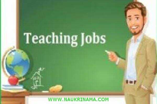 जॉब डाइजेस्ट 10 November 2019- मौका हैं आपके पास सरकारी नौकरी पाने का और अपने सपने पूरे करने का, जल्द करें आवेदन