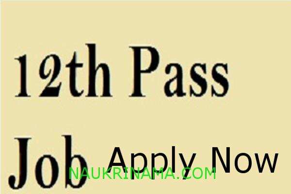 जॉब डाइजेस्ट 09 जुलाई 2019 :-  08वीं, 10वीं पास इन पदों के लिए जल्द करें आवेदन, वेतन – 67,000/- प्रतिमाह