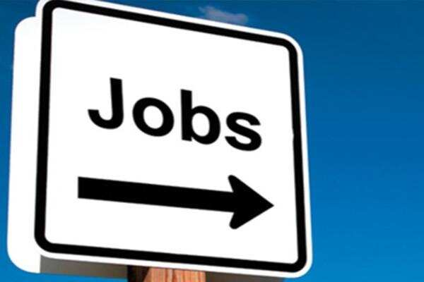 दसवीं पास आवेदको को मिला सुनहरा अवसर,यूपी सरकार ने निकली हजारों पदो पर वैकेंसी