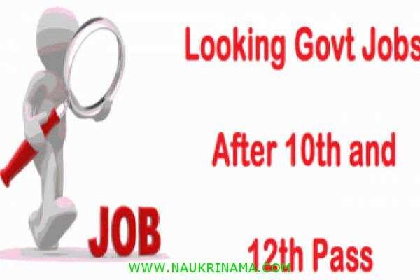 जॉब डाइजेस्ट 4 November 2019- अगर 12वीं पास पाना चाहते हैं सरकारी नौकरी तो, आज ही इन पदों के लिए करें आवेदन