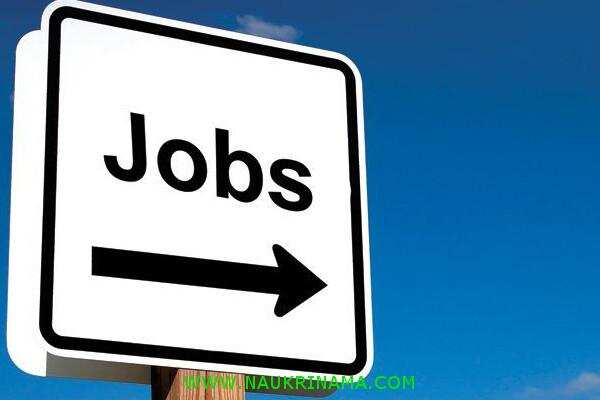 जॉब डाइजेस्ट 15 October 2019- फिर नहीं मिलेगा ऐसा मौका सरकारी नौकरी पाने का और अपना भविष्य सवारने का, अंतिम तिथि से पहले करें आवेदन