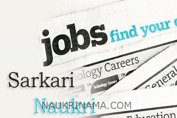 जॉब डाइजेस्ट 27 जुलाई 2019 :-  शिक्षा विभाग में इन बम्पर भर्तियों पर आप भी कर सकते हैं आवेदन, ये आपको देगा सम्मान के साथ- साथ अन्य सुविधाऐं