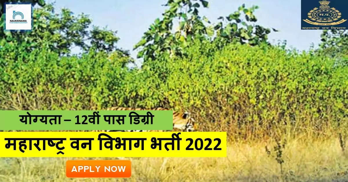 Maharashtra Bharti 2022- 12वीं पास के लिए महाराष्ट्र वन विभाग में निकली भर्ती, अन्य जानकारी यहां से प्राप्त करें