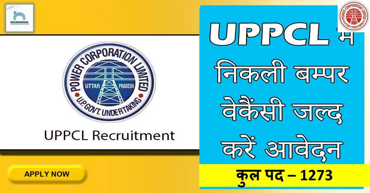 uppcl executive assistant apply online,executive assistant in uppcl notification,uppcl executive assistant salary,uppcl assistant accountant vacancy