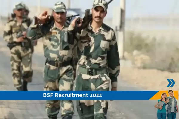 BSF में सब इंस्पेक्टर और हैड कांस्टेबल के पद पर भर्ती