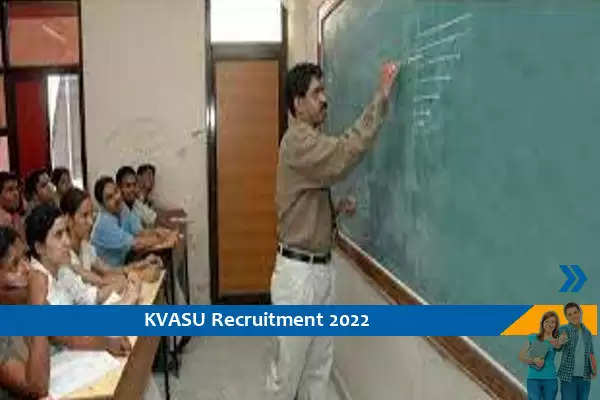 KVASU ने नॉन टीचिंग पदो पर निकाली इंजीनियर डिग्री धारक के लिए भर्तियां, अंतिम तिथि से पहले करें आवेदन