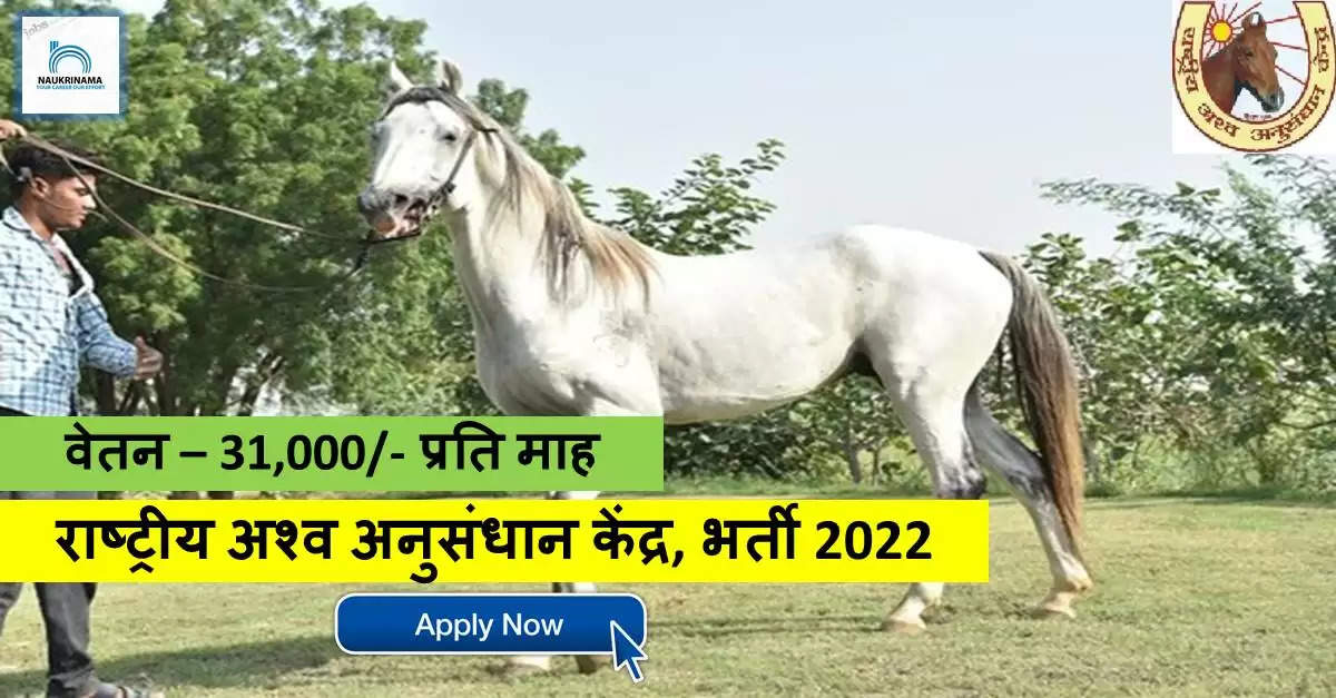 Haryana Bharti 2022- पोस्ट ग्रेजुएट डिग्री पास के  मौका खो ना दें सरकारी नौकरी पाने का, यहां निकली सरकारी भर्ती