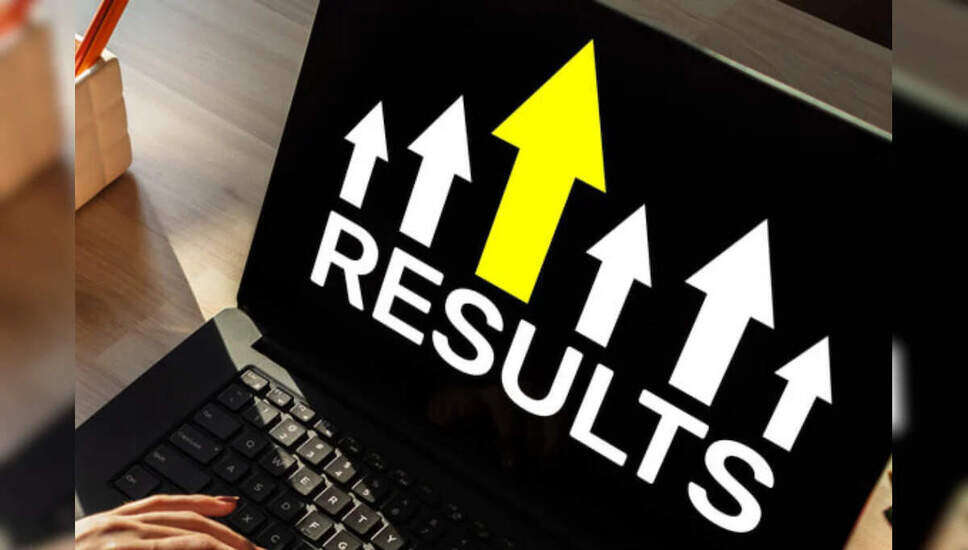 बिहार DElEd JEE 2025 का परिणाम जारी, जानें कैसे करें चेक