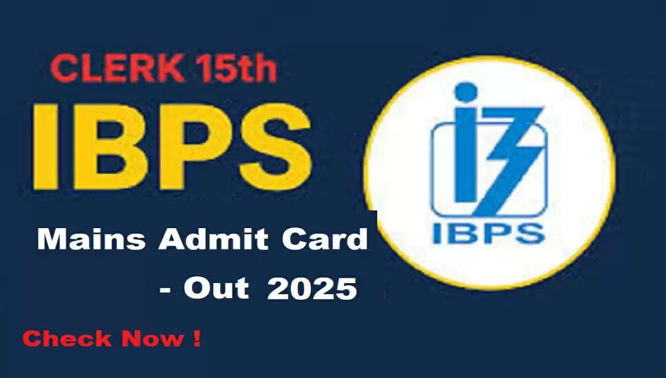 IBPS क्लर्क CSA 15वीं (XV) मुख्य परीक्षा का एडमिट कार्ड 2025 जारी