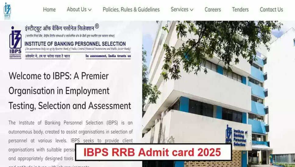 IBPS RRB 2025: ऑफिस असिस्टेंट प्रीलिमिनरी परीक्षा के लिए एडमिट कार्ड जारी होने की उम्मीद