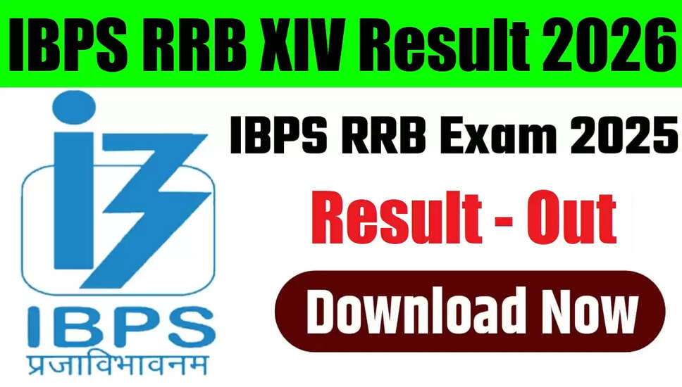 IBPS RRB XIV 14वीं स्केल-I मेन/ स्केल II, III प्री परिणाम 2026 की घोषणा