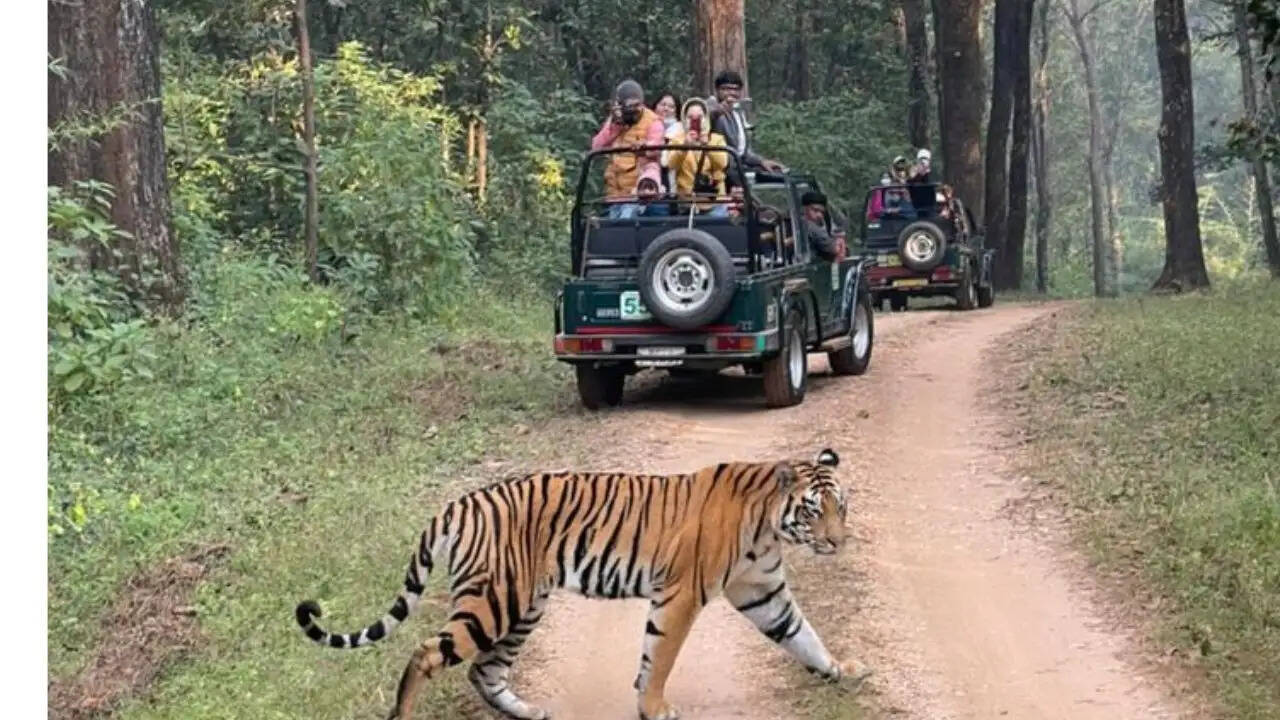 https://hindi.naukrinama.com/static/c1e/client/99589/downloaded/fc5052511b733c207ad503c64b4ebf0b.jpg?width=1280&height=720&resizemode=4