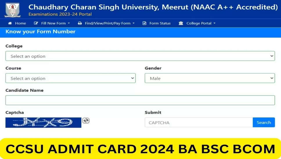 सीसीएसयू एडमिट कार्ड 2024 डाउनलोड करें: अपना परीक्षा केंद्र और विवरण जांचें