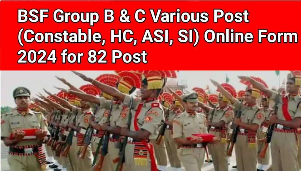 BSF ग्रुप बी और सी भर्ती 2024 (कुल 82 पद): अभी आवेदन करें