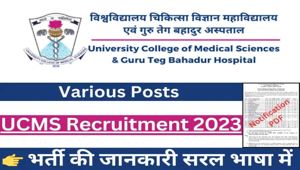 दिल्ली मेडिकल कॉलेज भर्ती 2024: वैज्ञानिक, शोध सहायक और अन्य पदों के लिए करें आवेदन