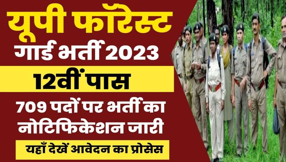 UPSSSC Forest Guard Recruitment: यूपी में 12वीं पास युवाओं के लिए मौका, फॉरेस्ट गार्ड के लिए आवेदन शुरू
