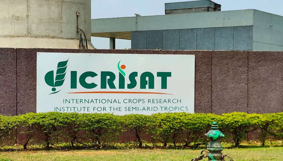 ICRISAT भर्ती 2023: हैदराबाद में वरिष्ठ वैज्ञानिक अधिकारी रिक्ति के लिए आवेदन करें प्रमुख कृषि अनुसंधान संगठन ICRISAT ने हैदराबाद में वरिष्ठ वैज्ञानिक अधिकारी के पद के लिए भर्ती अभियान की घोषणा की है। इच्छुक उम्मीदवार जिनके पास M.Sc डिग्री है, वे इस पद के लिए 30/03/2023 से पहले आवेदन कर सकते हैं। पात्रता मानदंड, आवश्यक दस्तावेजों और अन्य आवश्यक विवरणों के बारे में अधिक जानने के लिए, इच्छुक उम्मीदवार आईसीआरआईएसएटी वेबसाइट पर प्रदान की गई आधिकारिक अधिसूचना का उल्लेख कर सकते हैं। संगठन ने इस पद के लिए केवल एक रिक्ति प्रदान की है, और वर्तमान में वेतनमान का खुलासा नहीं किया गया है। आईसीआरआईएसएटी भर्ती 2023 के लिए आवेदन करने के लिए, पात्र उम्मीदवारों को नीचे दिए गए चरणों का पालन करना चाहिए: चरण 1: ICRISAT की आधिकारिक वेबसाइट icrisat.org पर जाएं चरण 2: आईसीआरआईएसएटी भर्ती 2023 अधिसूचना के लिए खोजें चरण 3: अधिसूचना में सभी विवरण पढ़ें और आगे बढ़ें चरण 4: आवेदन के तरीके की जांच करें और 30/03/2023 से पहले आईसीआरआईएसएटी भर्ती 2023 के लिए आवेदन करें समय सीमा से पहले आवेदन करना आवश्यक है, क्योंकि अंतिम तिथि के बाद आवेदन स्वीकार नहीं किए जाएंगे। चयनित उम्मीदवार हैदराबाद में स्थित होंगे, और यह अवसर उन सभी उम्मीदवारों के लिए खुला है जो कृषि अनुसंधान में अपना करियर बनाने के इच्छुक हैं। सरकारी क्षेत्र में अधिक नौकरी के अवसरों के लिए इच्छुक उम्मीदवार आधिकारिक वेबसाइट पर समान नौकरियों की जांच कर सकते हैं। आईसीआरआईएसएटी के साथ काम करने और कृषि अनुसंधान के क्षेत्र में बदलाव लाने के इस रोमांचक अवसर को हाथ से न जाने दें। अभी अप्लाई करें!   ICRISAT Recruitment 2023: Apply for Senior Scientific Officer Vacancy in Hyderabad ICRISAT, a leading agricultural research organization, has announced a recruitment drive for the post of Senior Scientific Officer in Hyderabad. Interested candidates who possess an M.Sc degree can apply for this position before 30/03/2023. To know more about the eligibility criteria, required documents, and other essential details, interested candidates can refer to the official notification provided on the ICRISAT website. The organization has provided only one vacancy for this position, and the pay scale is currently not disclosed. To apply for the ICRISAT Recruitment 2023, eligible candidates must follow the steps given below: Step 1: Visit the ICRISAT official website icrisat.org Step 2: Search for the ICRISAT Recruitment 2023 notification Step 3: Read all the details in the notification and proceed further Step 4: Check the mode of application and apply for the ICRISAT Recruitment 2023 before 30/03/2023 It's essential to apply before the deadline, as applications will not be accepted after the last date. Selected candidates will be located in Hyderabad, and this opportunity is open to all candidates who are interested in pursuing a career in agricultural research. For more job opportunities in the government sector, interested candidates can check out similar jobs on the official website. Don't miss out on this exciting opportunity to work with ICRISAT and make a difference in the agricultural research field. Apply now!